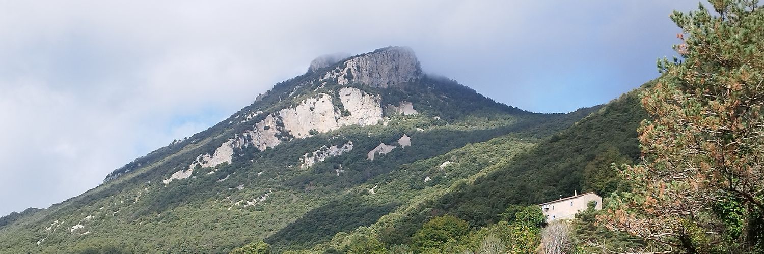 ArbatPau's profile banner image