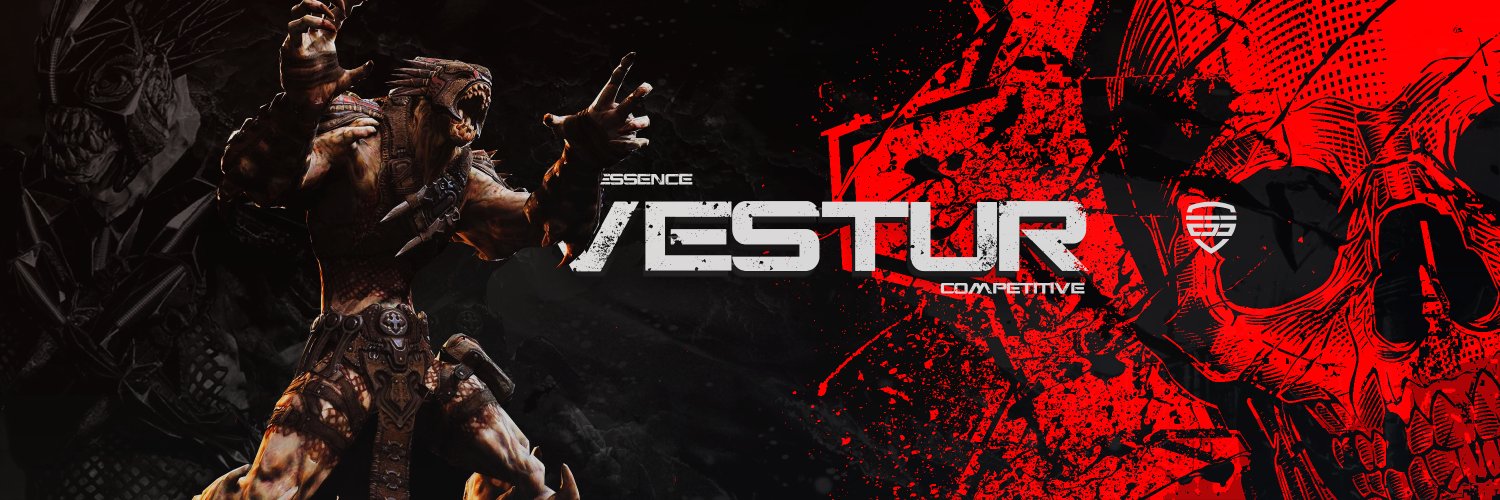 vestur banner