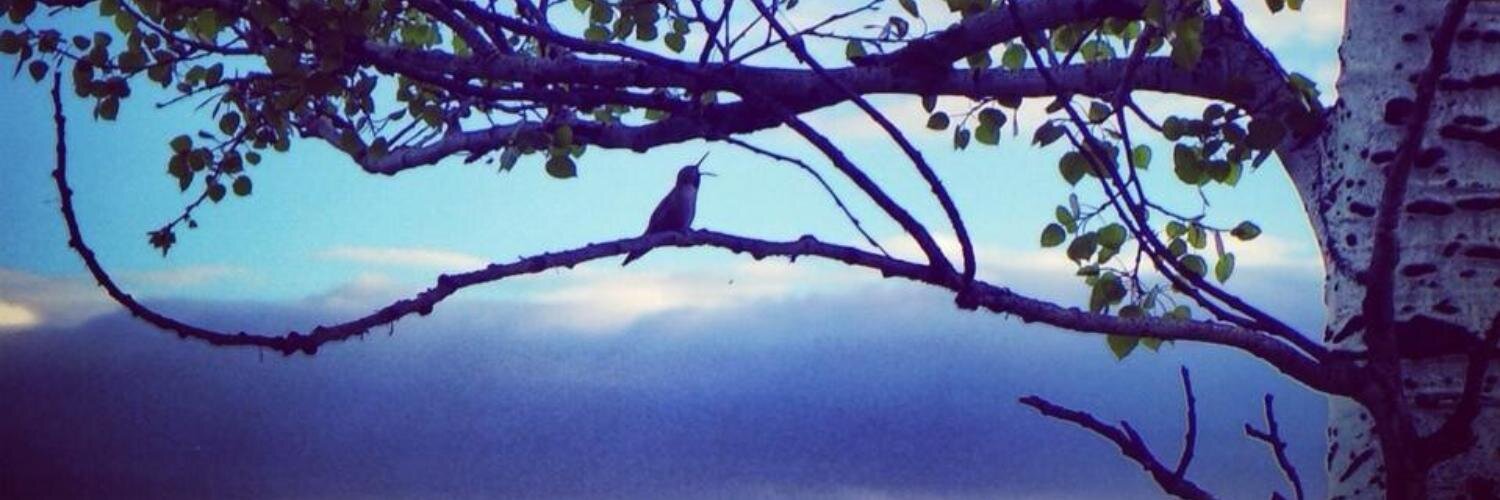 JessLaszewski's profile banner image