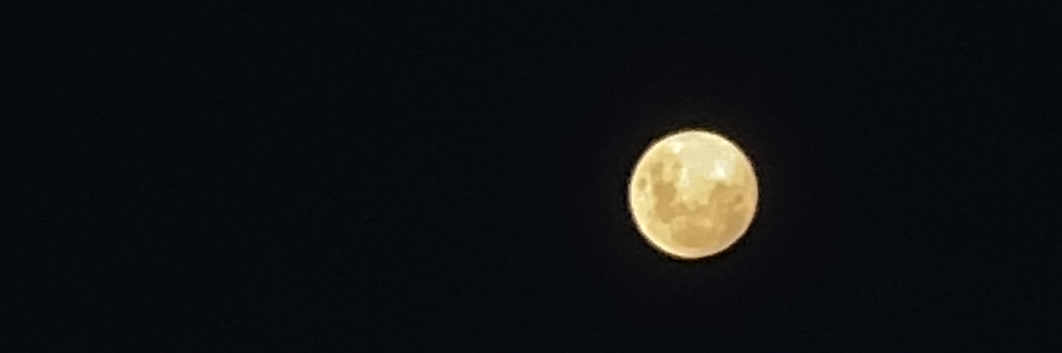 melchuss14's profile banner image
