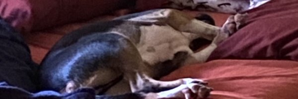 mrhappybw Profile Banner