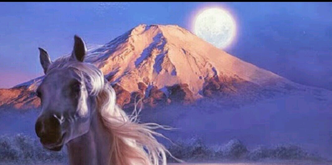 lnwjf's profile banner image