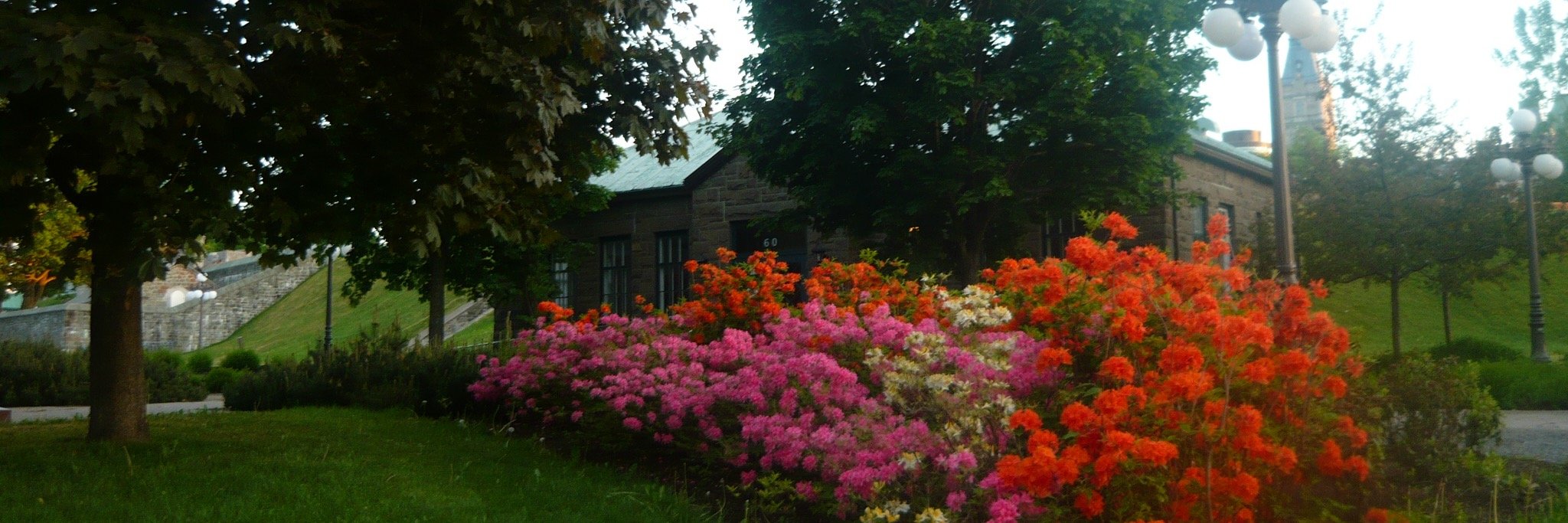 Dégi L. Csaba banner