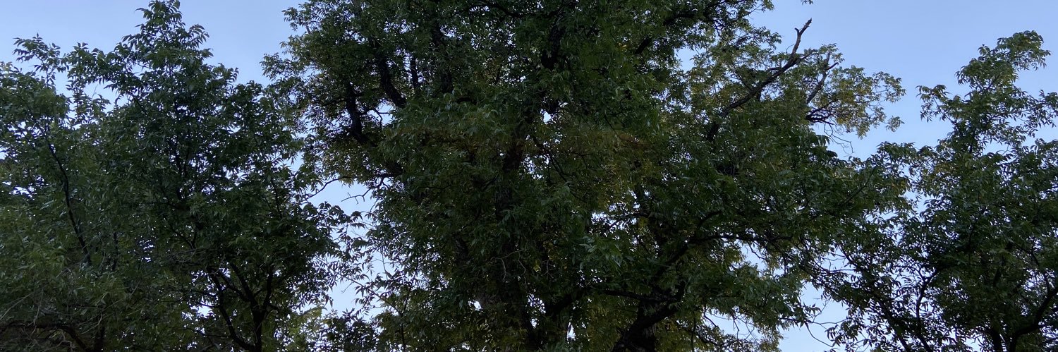 Mikey_V00's profile banner image