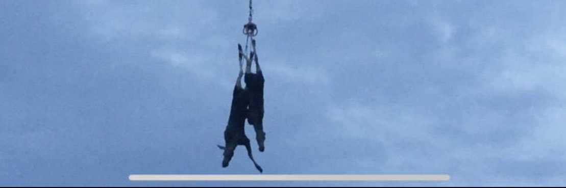 FairAndBalanced banner