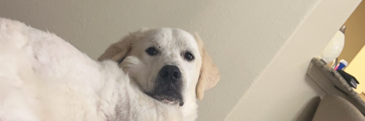_Blakeeeeee's profile banner image