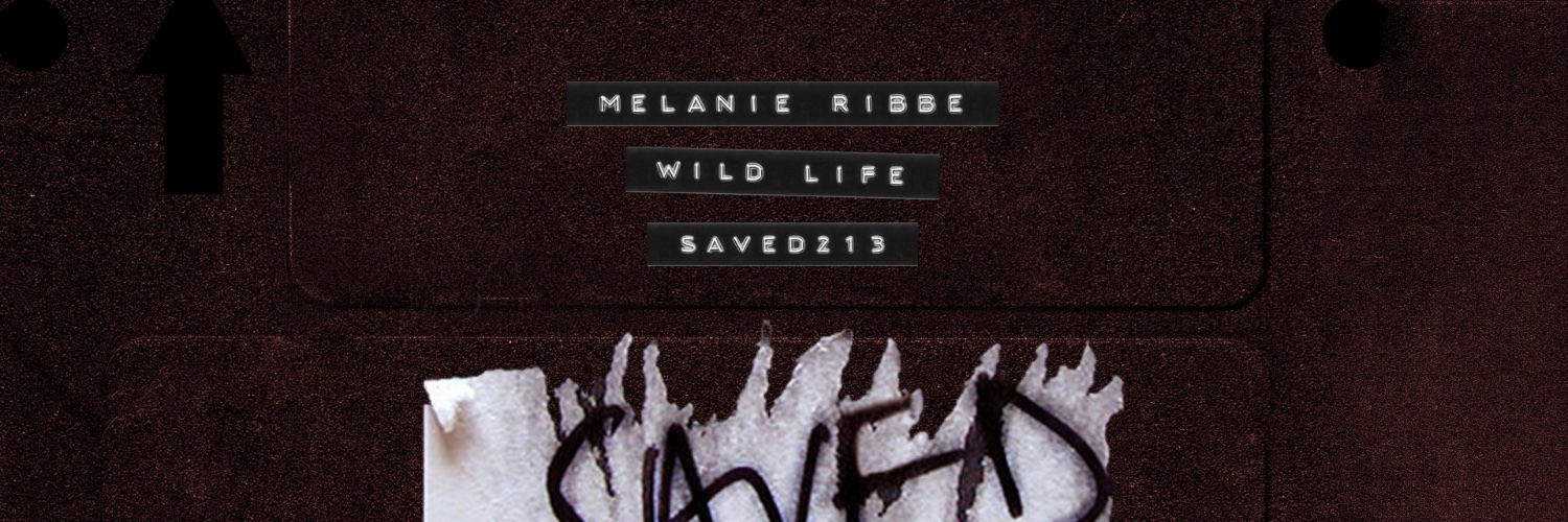 MelanieRibbe's profile banner image