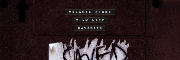 MelanieRibbe Profile Banner