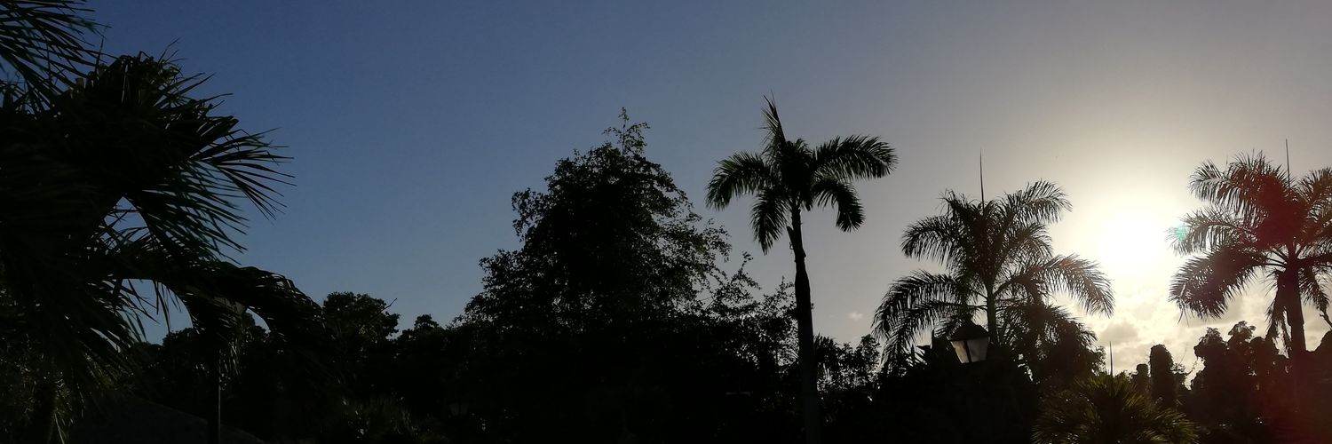 LuzClaros98's profile banner image