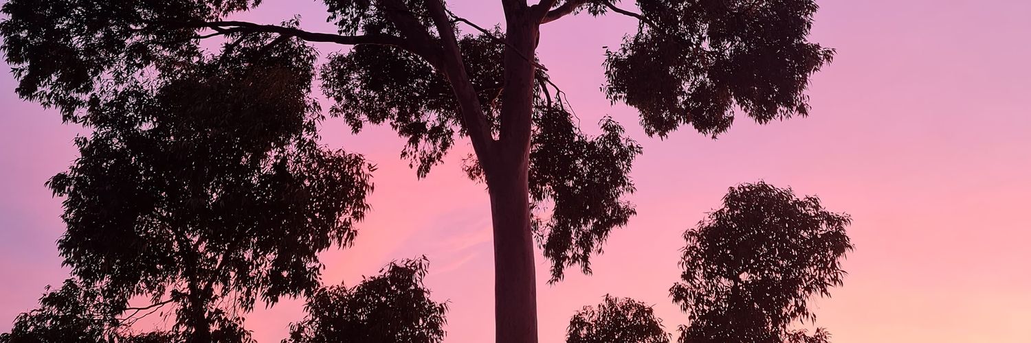 MarkStipic's profile banner image