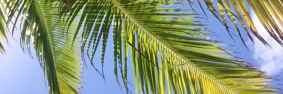 taylor_brown20's profile banner image