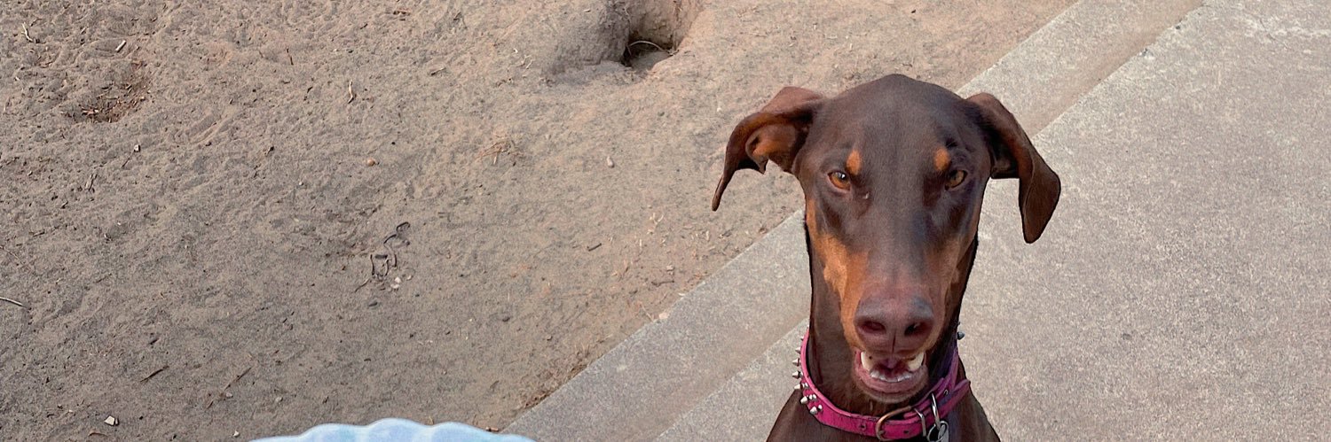 Lilly__Anderson's profile banner image