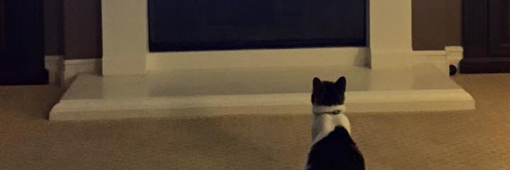 MarkLikesTV's profile banner image