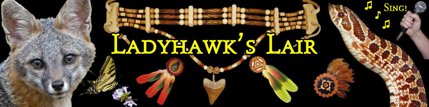 Ladyhawk_LH's profile banner image