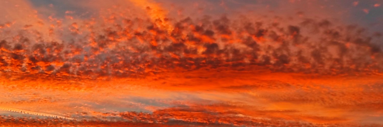 dani55tw's profile banner image