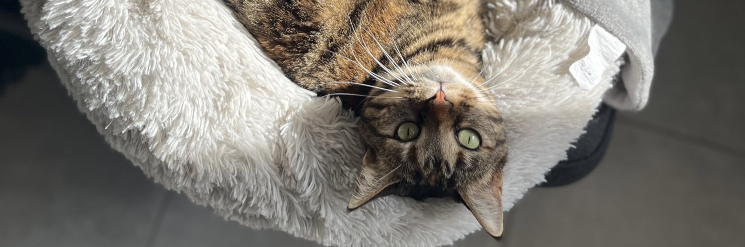 manonjcqt's profile banner image