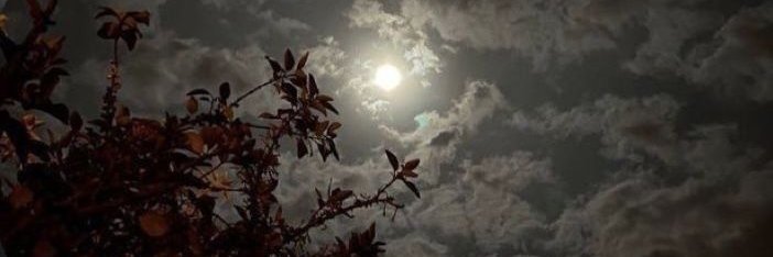 yo3sef_x1's profile banner image