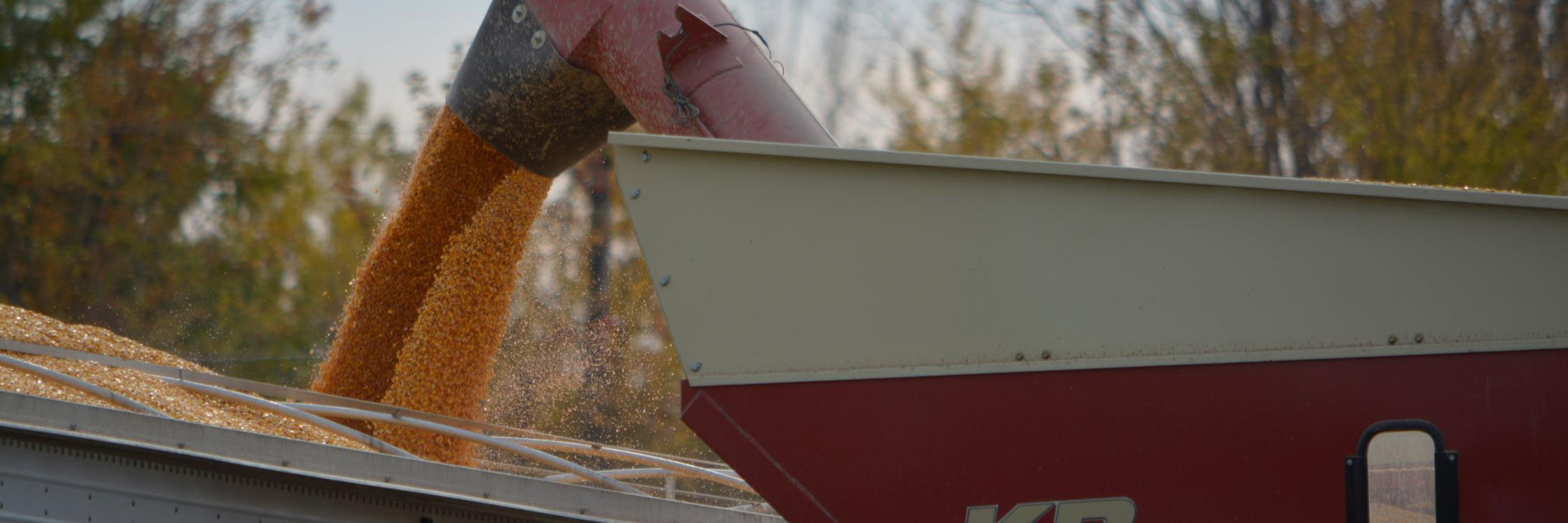 MMFMOTORSPORT's profile banner image