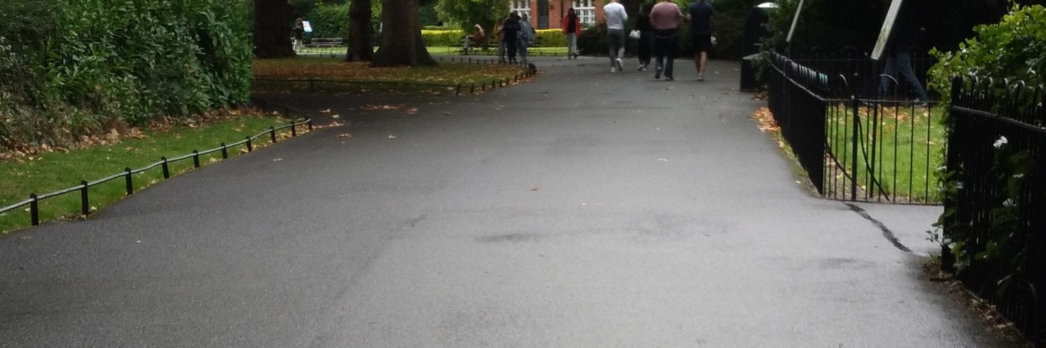 João Guilherme banner