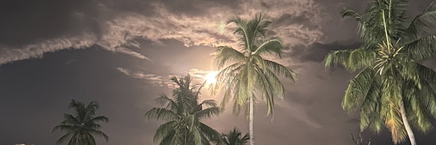 PamelaCobo's profile banner image