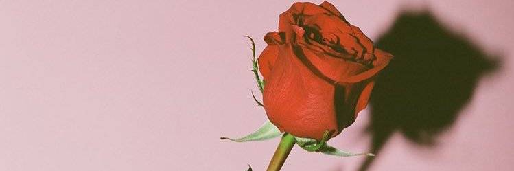 منيرة سلمان banner