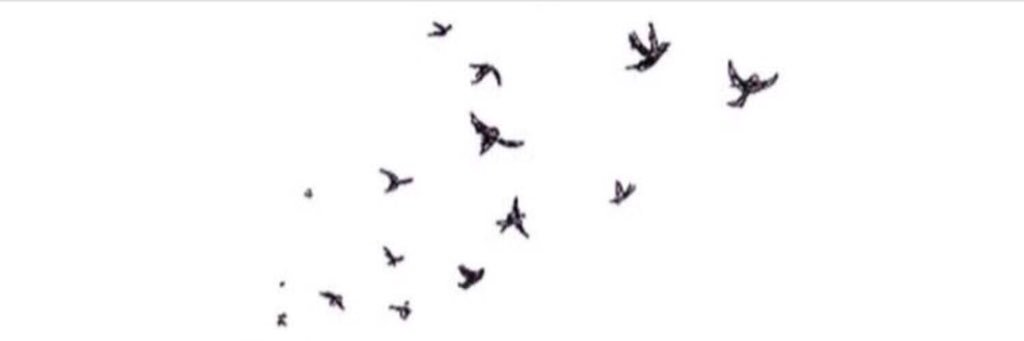 SAMETO_2's profile banner image