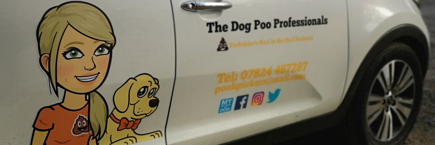 poohpickers's profile banner image