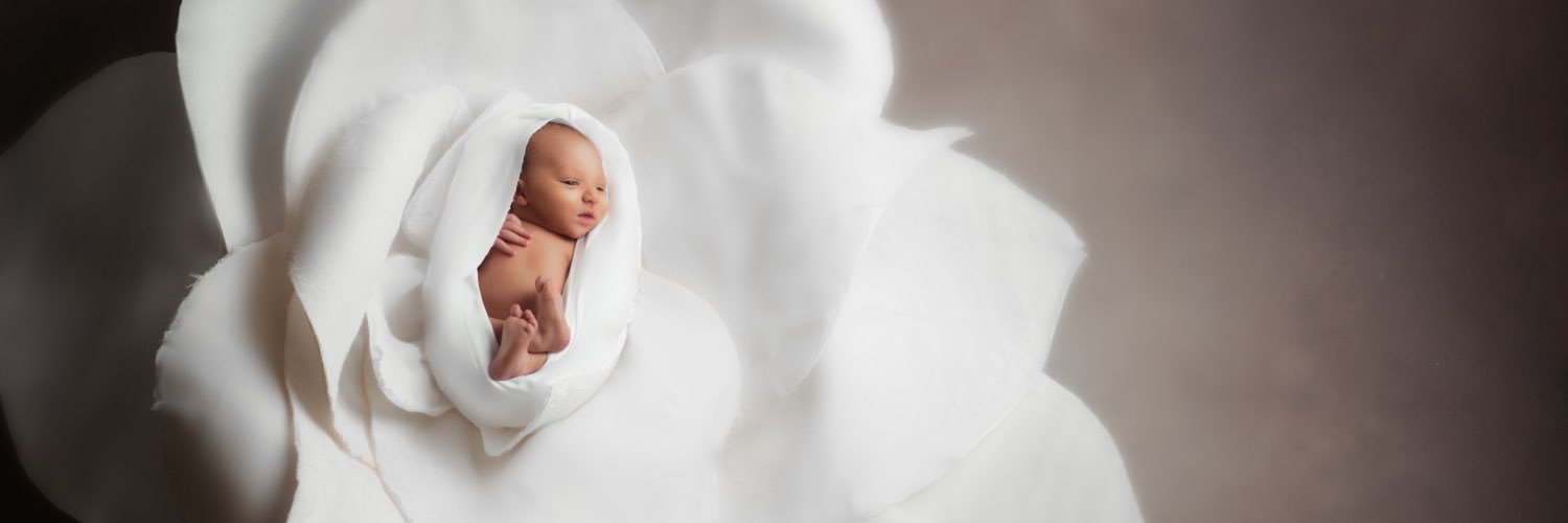 SBarrettStudios's profile banner image