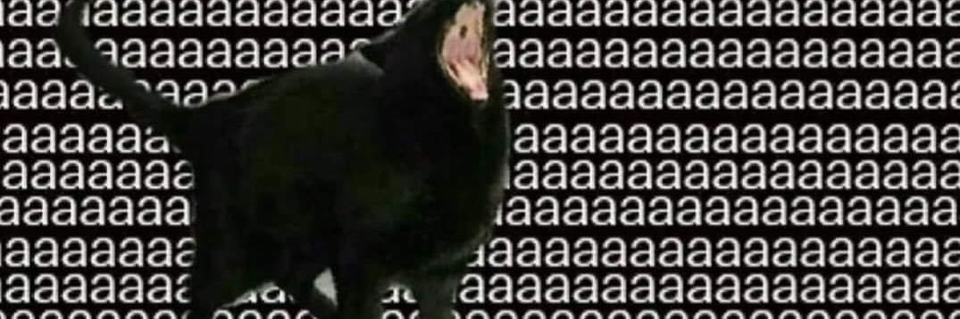 onevegetabletwo's profile banner image