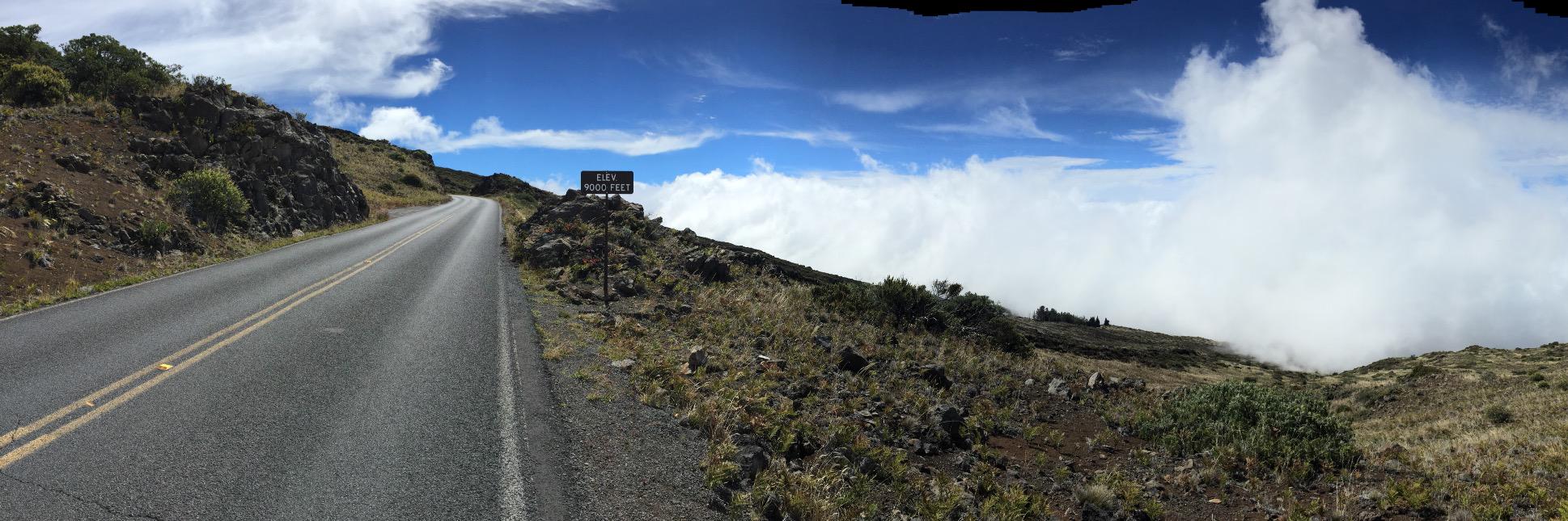 Camille Moussette banner