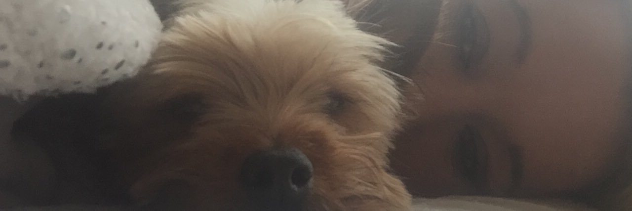lauraangel63's profile banner image