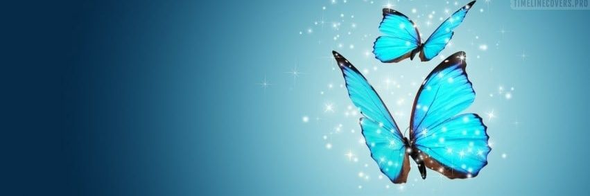 Thunder 🚀 🚀 🚀 banner