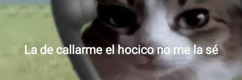 NamelesssinceMM's profile banner image