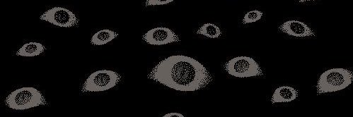 offMorakay's profile banner image
