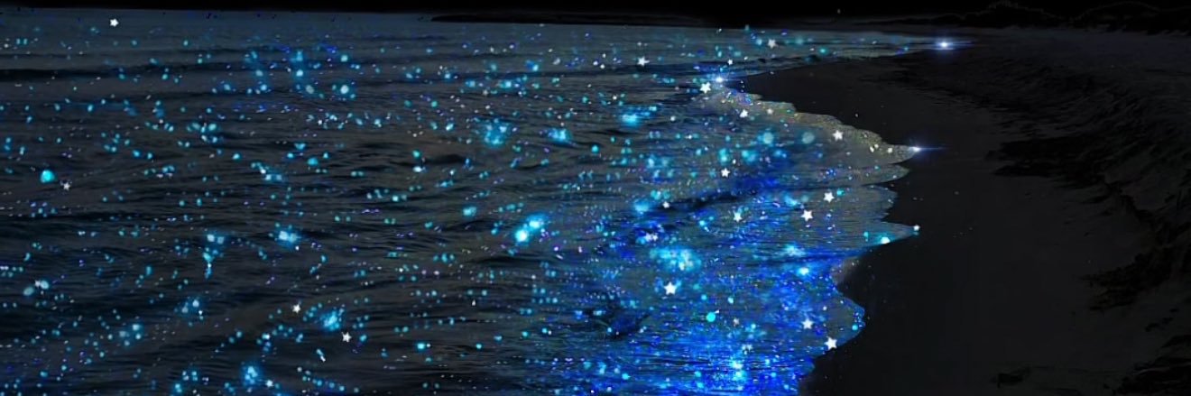 Reemo383's profile banner image