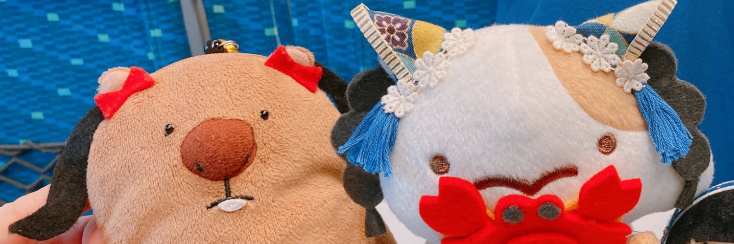 kapi_nky's profile banner image