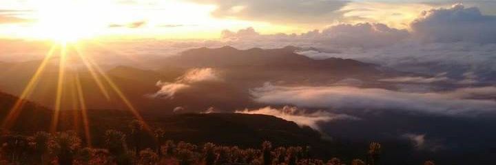 Julianhernand19's profile banner image