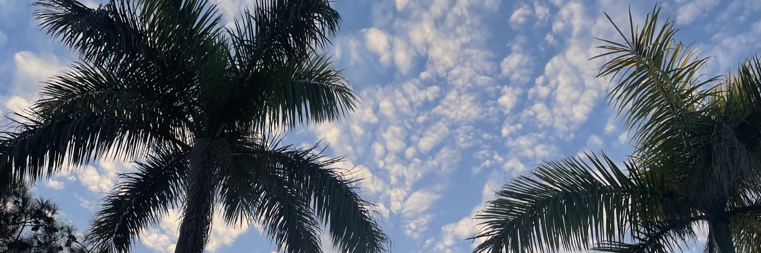 cieloblopezc's profile banner image