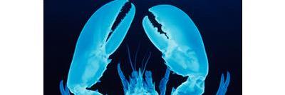 BluesWorks's profile banner image
