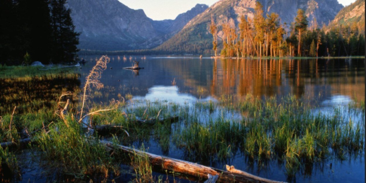 kinda sober bob banner