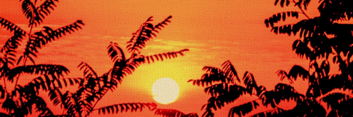 can_paradise's profile banner image