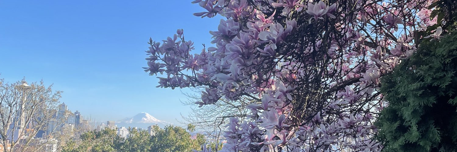 namarinomelo's profile banner image