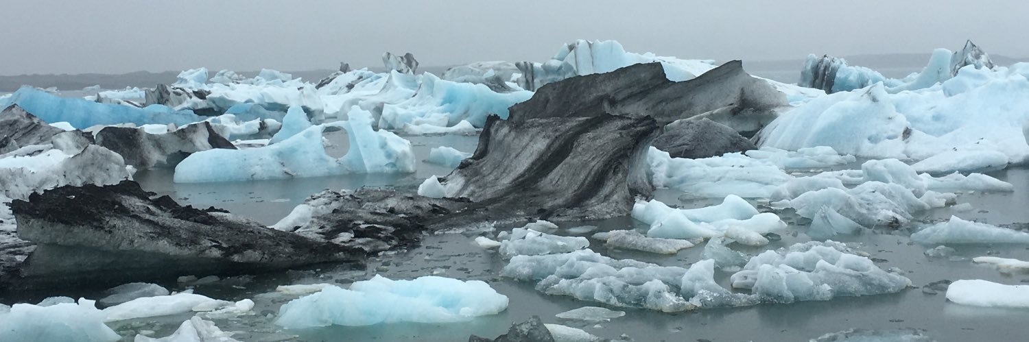 Pallavi Singhal banner