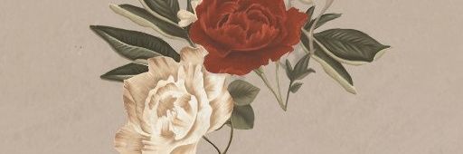 _illarie's profile banner image