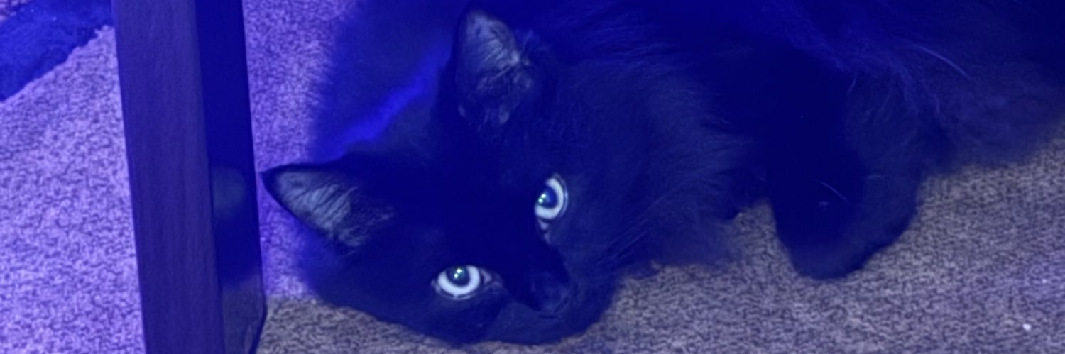 llizzieewalkerr's profile banner image