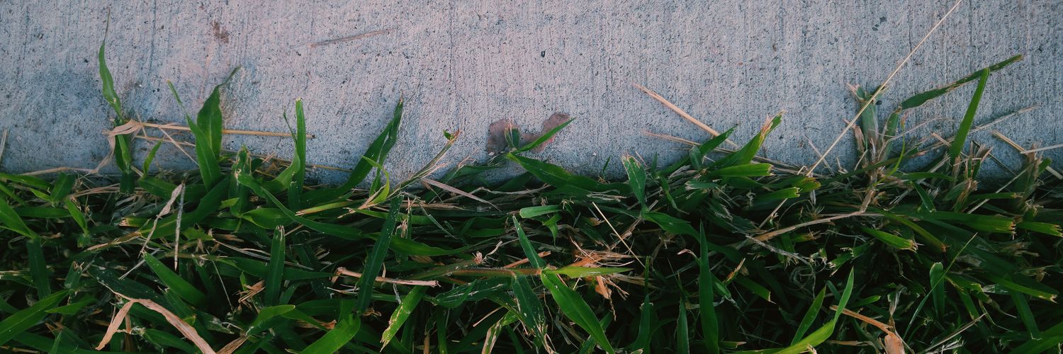 eddie_esoteric's profile banner image