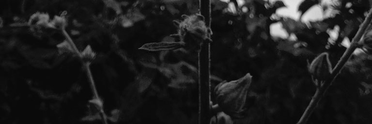 IanKweli's profile banner image
