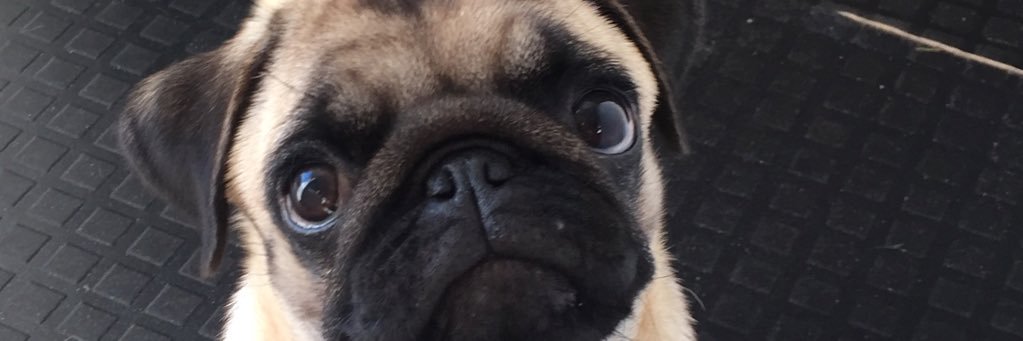 Keri Watt 🗽🚕🍎 banner