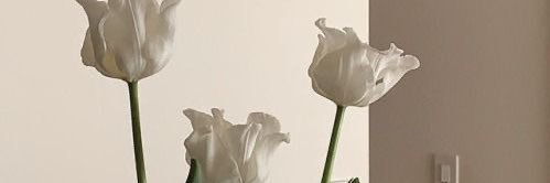 rebecamorenom's profile banner image