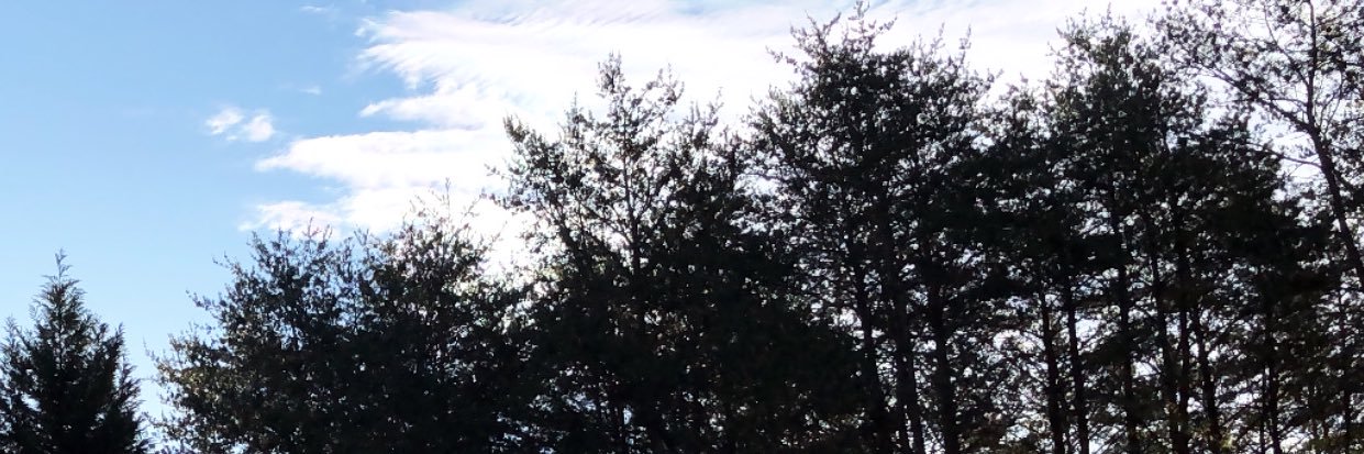 trey_wl's profile banner image